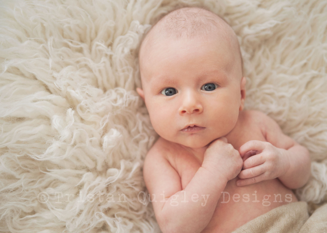 carlsbad newborn photographer